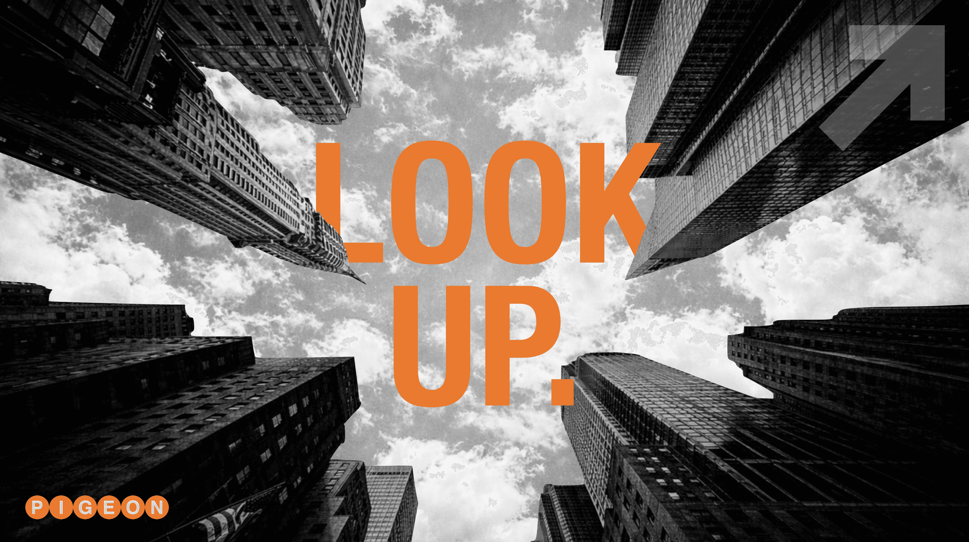 LOOK UP. — buildings looking up at the sky with Pigeon branding